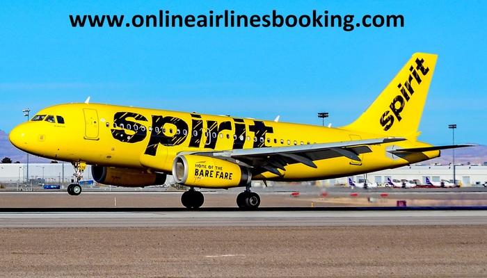 How do i talk to a live person at spirit airlines